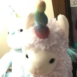 Meet your Posher, Anita